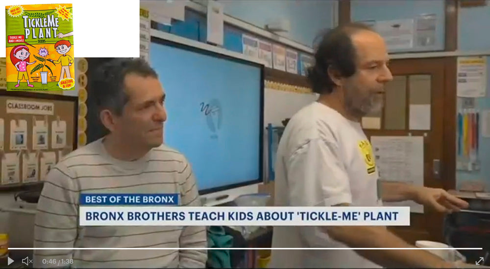 Best of the Bronx: Brothers return to their school in hopes of inspiring others with the 'Tickle-Me Plant' TickleMe Plant Company, Inc