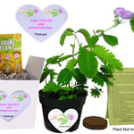 So Tickled With APPRECIATION TickleMe Plant Gift Box set! - Say Thank you with this fun Grow kit