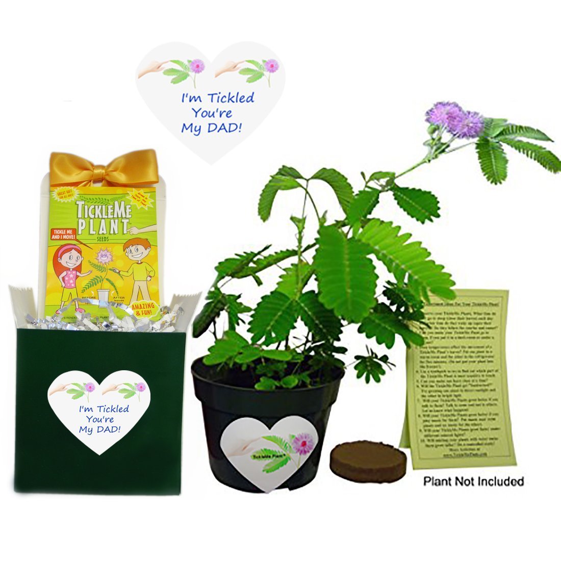 Birthday Gift or Father's Day Gift For Dad -TickleMe Plant Box Set TickleMe Plant Company, Inc