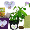 Friendship Gift Box or a Unique Birthday Gift or Galentine's Day Gift! TickleMe Plant Company, Inc