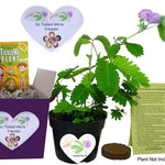 Friendship Gift Box or a Unique Birthday Gift or Galentine's Day Gift! TickleMe Plant Company, Inc