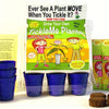TickleMe Plant Greenhouse garden kit with 3 packs of seed and science activity card!