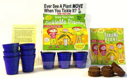 TickleMe Plant Greenhouse garden kit with 3 packs of seed and science activity card!