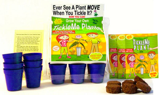 TickleMe Plant Greenhouse with 3 Packets of seeds PLUS TickleMe Plant Book (Bundle)