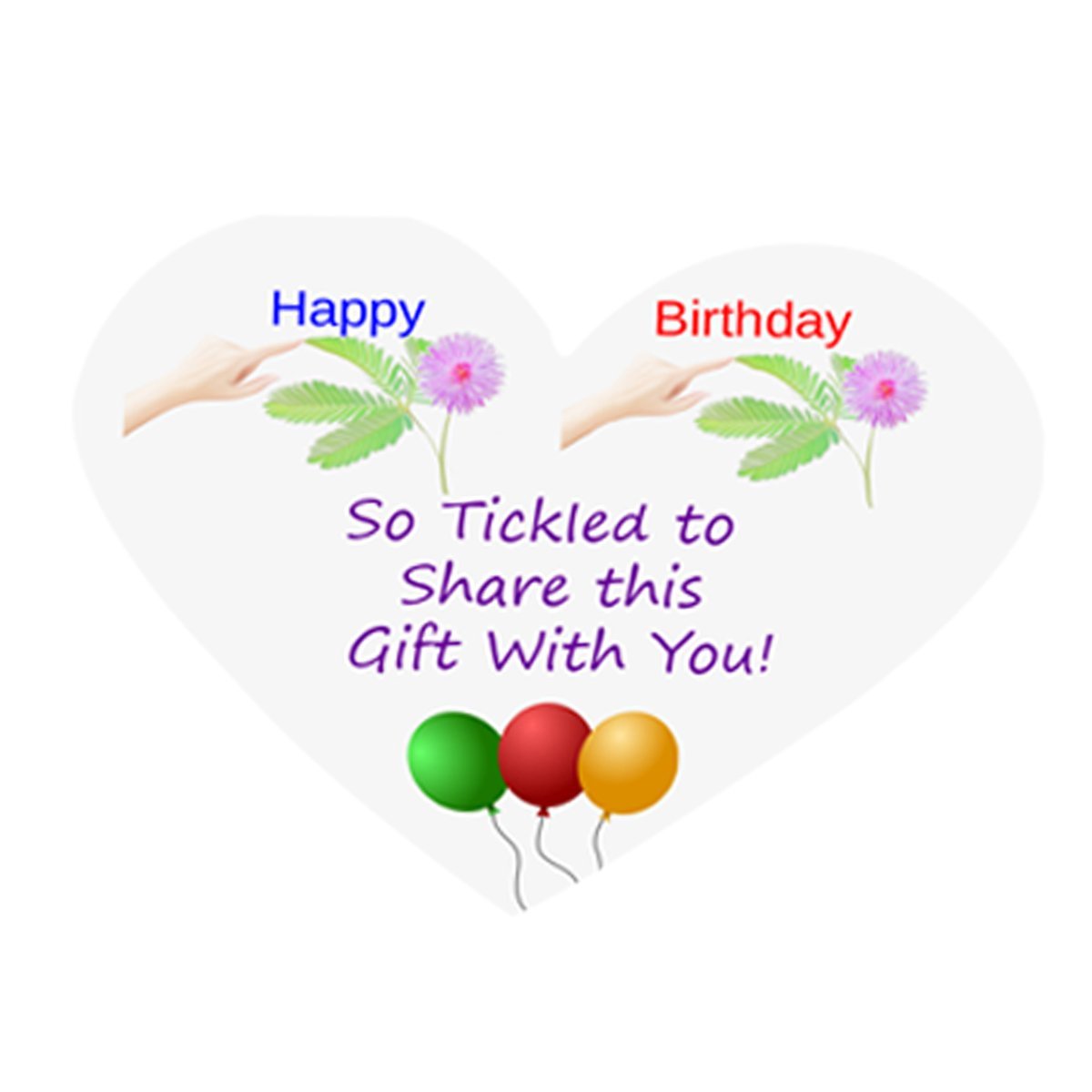 NEW! Birthday TickleMe Plant Gift Box Set! TickleMe Plant Company, Inc