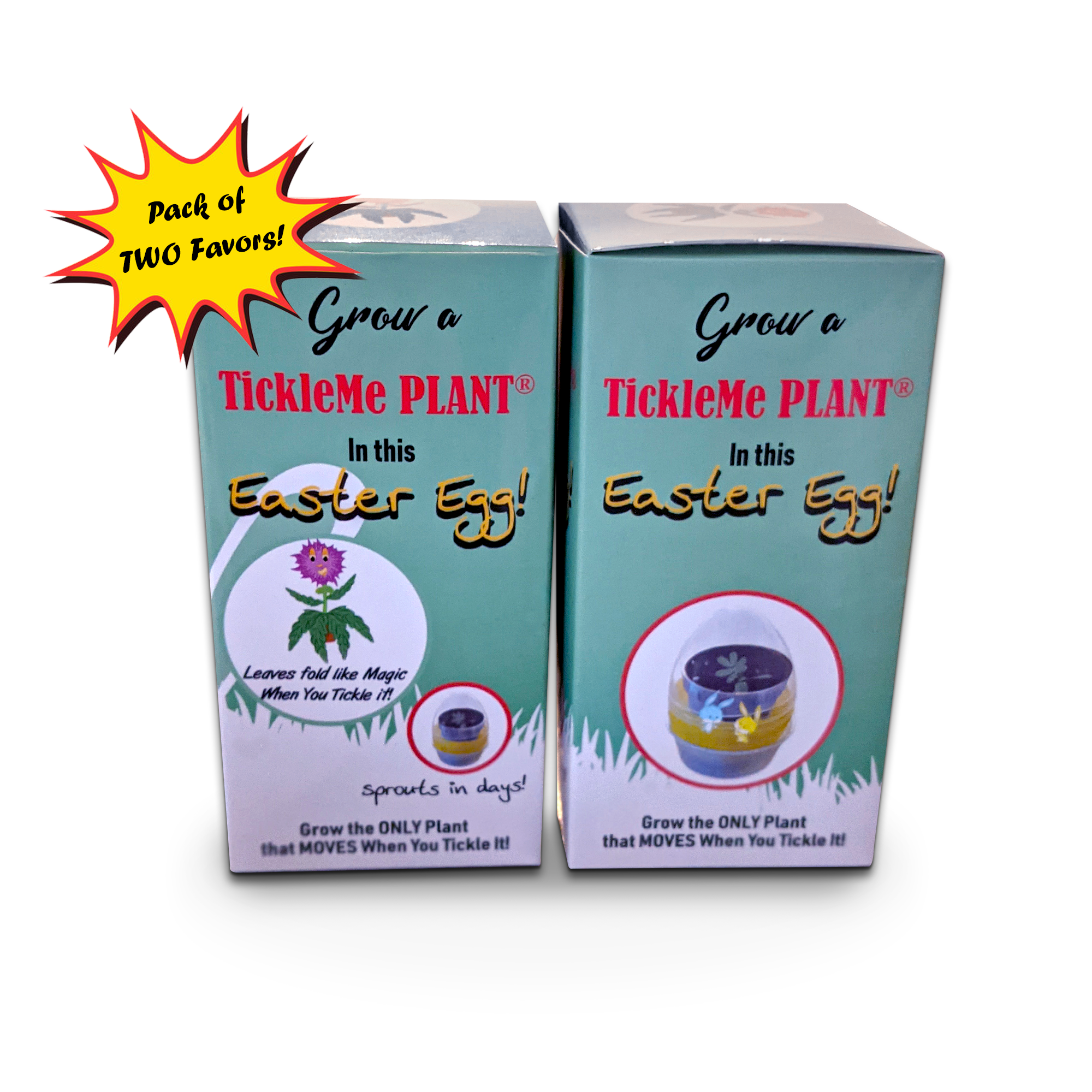 TickleMe Plant Easter Egg Grow Kit (2)