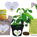 Say Happy Retirement - So Tickled To Share This Gift With You. TickleMe Plant Company, Inc