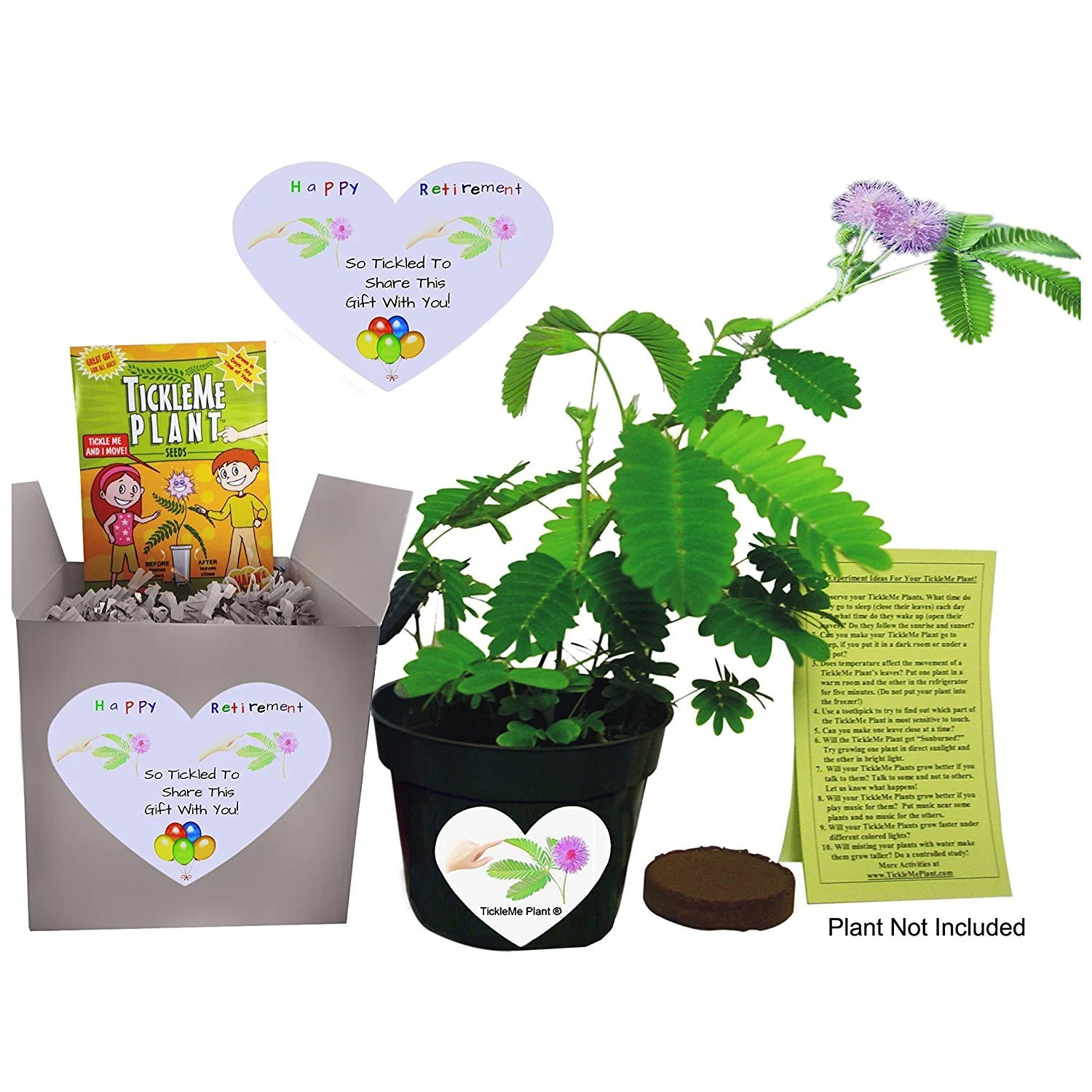 Say Happy Retirement - So Tickled To Share This Gift With You. TickleMe Plant Company, Inc