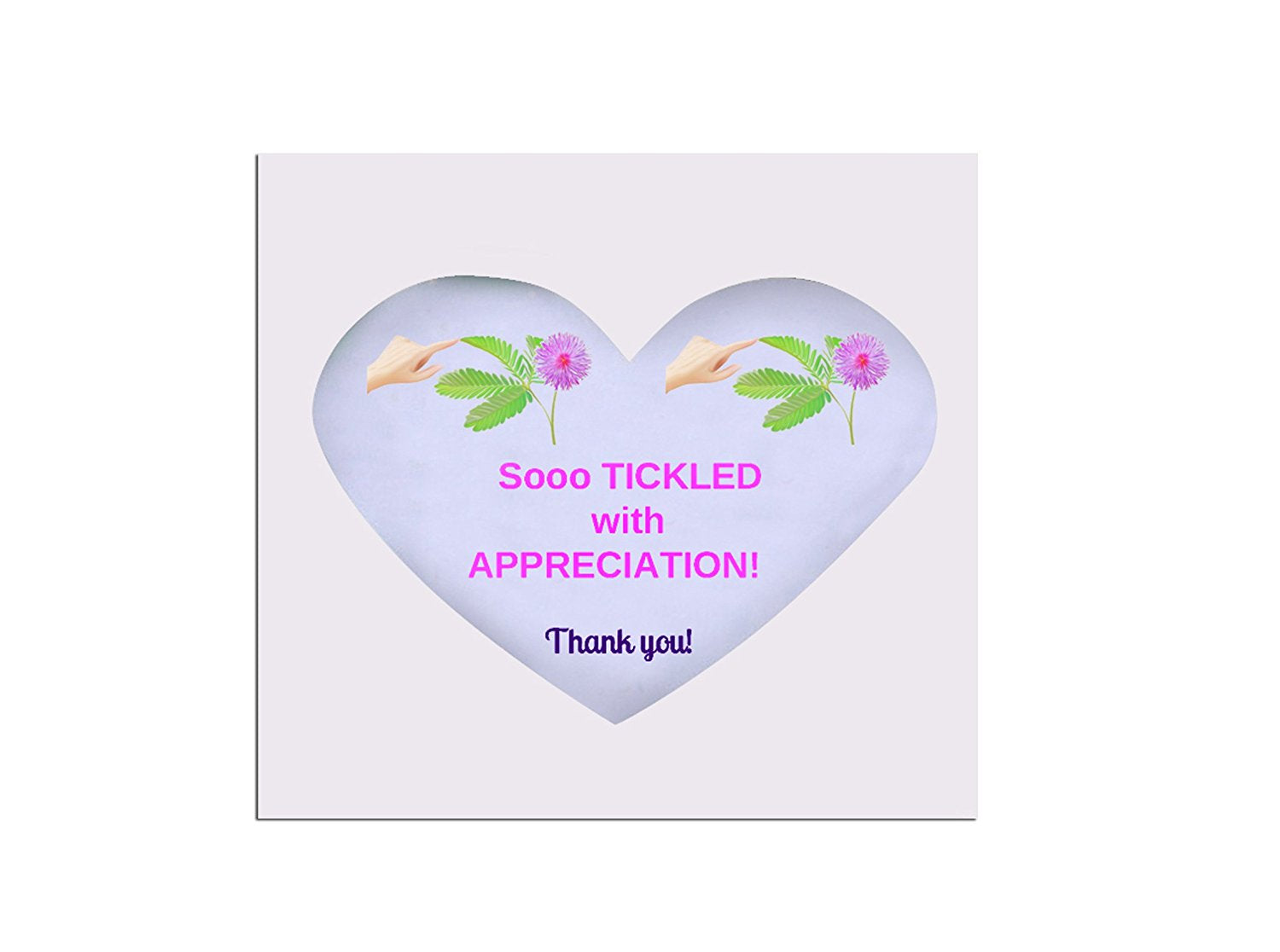 So Tickled With APPRECIATION TickleMe Plant Gift Box set! TickleMe Plant Company, Inc