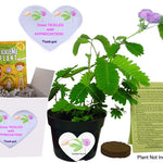 So Tickled With APPRECIATION TickleMe Plant Gift Box set! TickleMe Plant Company, Inc