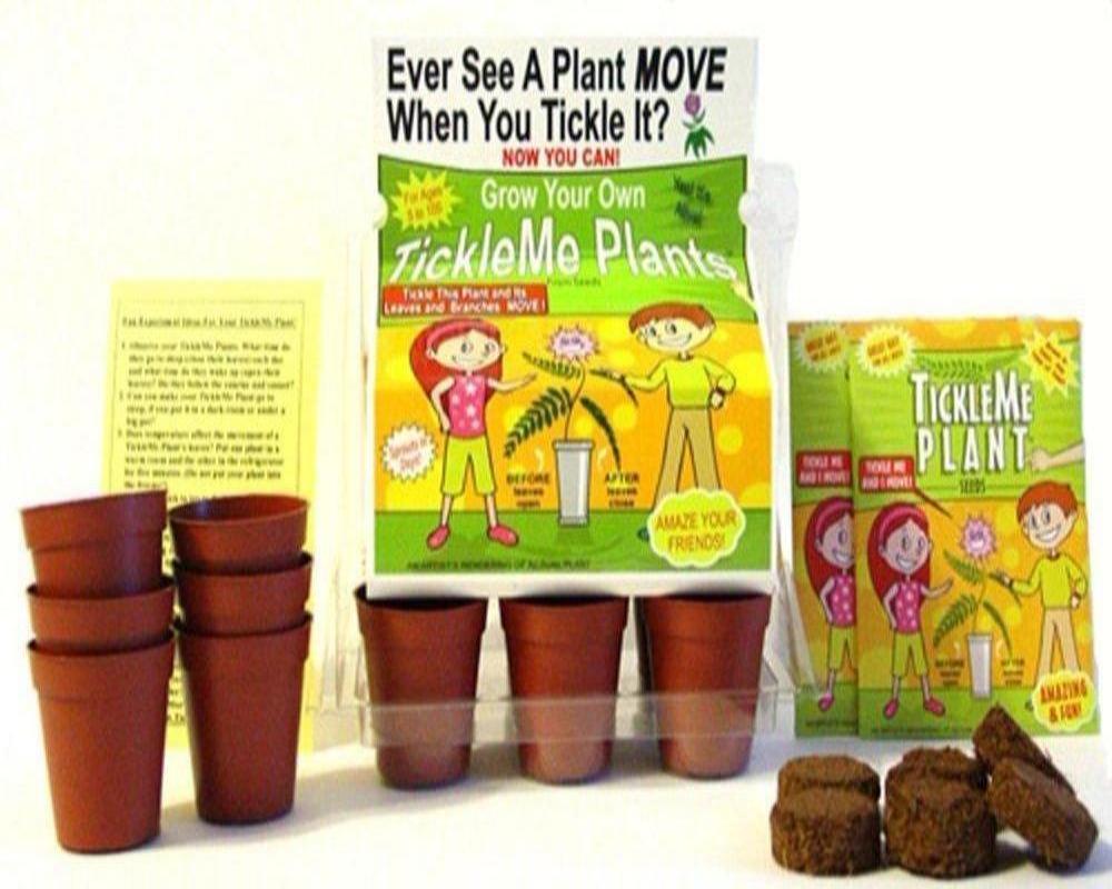 TickleMe Plant Greenhouse garden kit with science activity card! TickleMe Plant Company, Inc