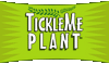 Grow Your Own TickleMe Plant and or Zombie Plant - a very sensitive plant