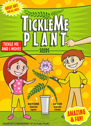 Wholesale - TickleMe Plant Seed Packet Strip with 12 seed packets for your Retail Store! TickleMe Plant Company, Inc