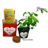 "You TICKLE MY Heart" Share Growing the TickleMe Plant That CLOSES ITS LEAVES when Tickled or when blown a KISS! And it flowers! TickleMe Plant Company, Inc