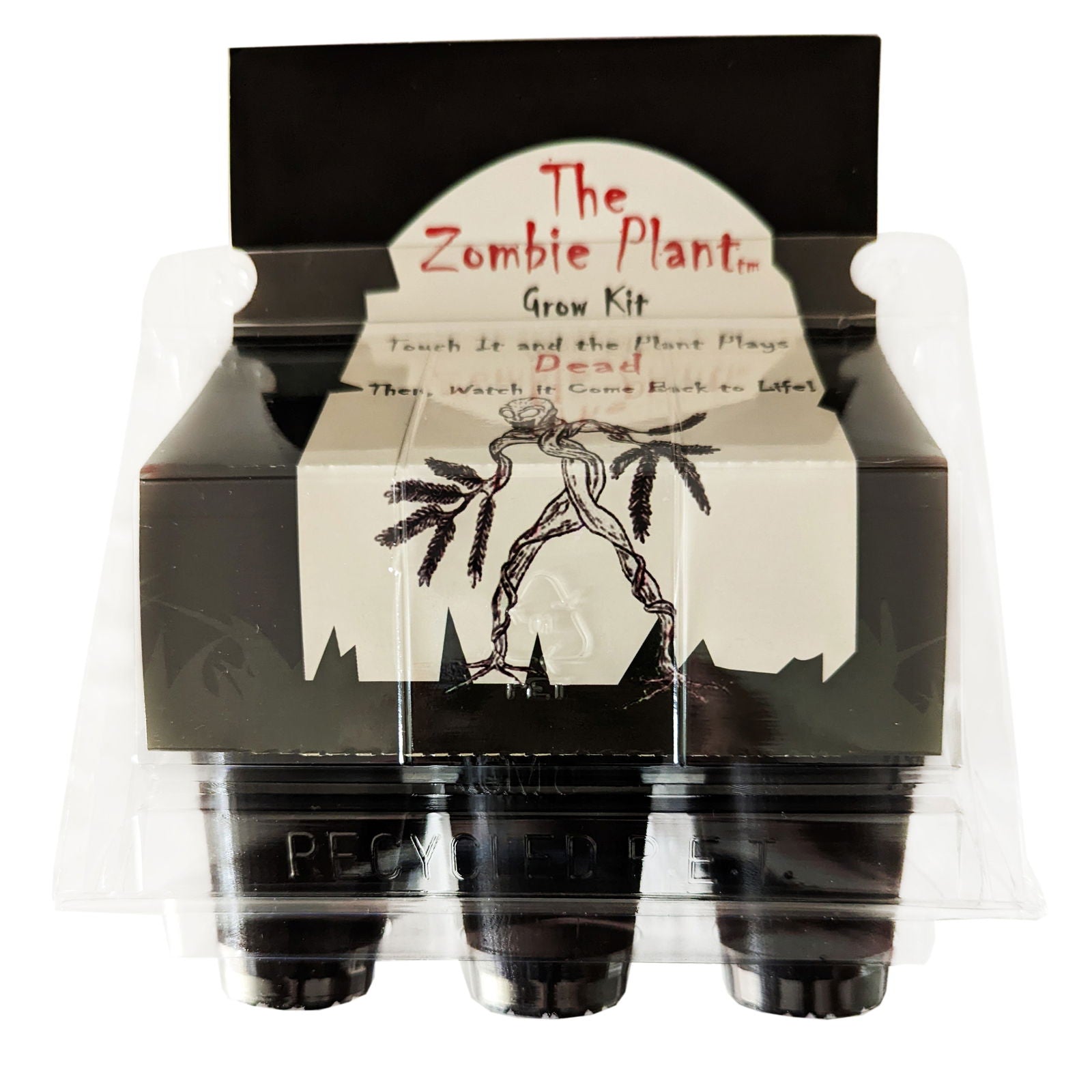 ZOMBIE PLANT GROW KIT- (Touch It and It PLAYS DEAD!) TickleMe Plant Company, Inc