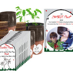 Zombie Plant Classroom or Homeschool Science Fun Planting Party kit - for 30 Students - Grow The House Plant That “Plays Dead When You Touch it! Includes The Zombie Plant Book. TickleMe Plant Company, Inc