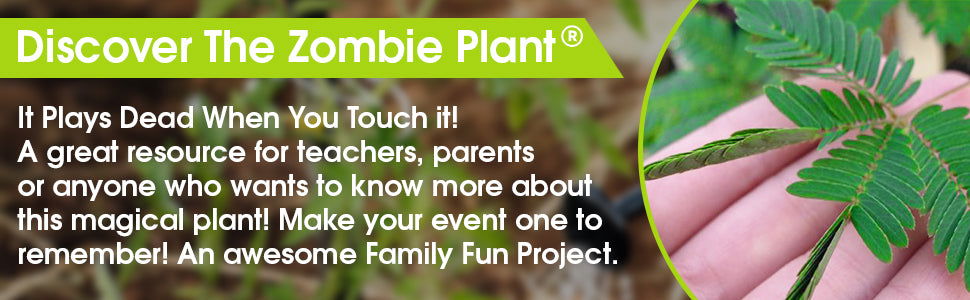 Zombie Plant Classroom or Homeschool Science Fun Planting Party kit - for 30 Students - Grow The House Plant That “Plays Dead When You Touch it! Includes The Zombie Plant Book. TickleMe Plant Company, Inc