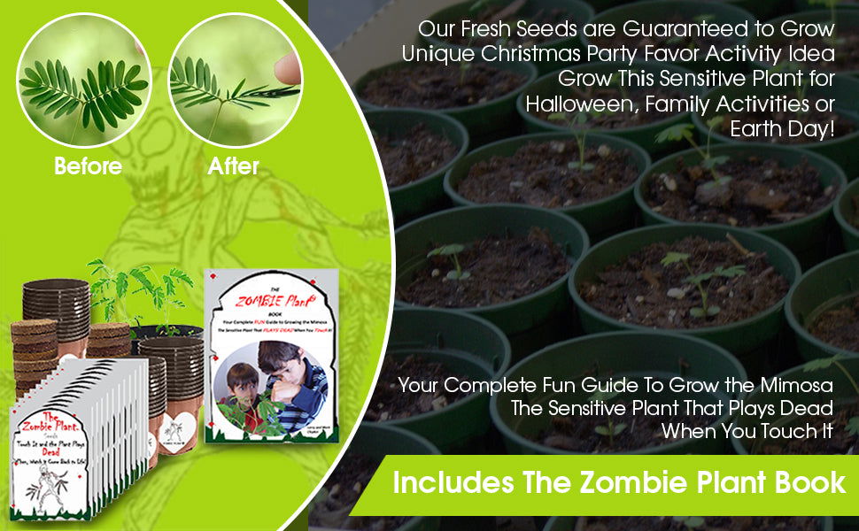 Zombie Plant Classroom or Homeschool Science Fun Planting Party kit - for 30 Students - Grow The House Plant That “Plays Dead When You Touch it! Includes The Zombie Plant Book. TickleMe Plant Company, Inc