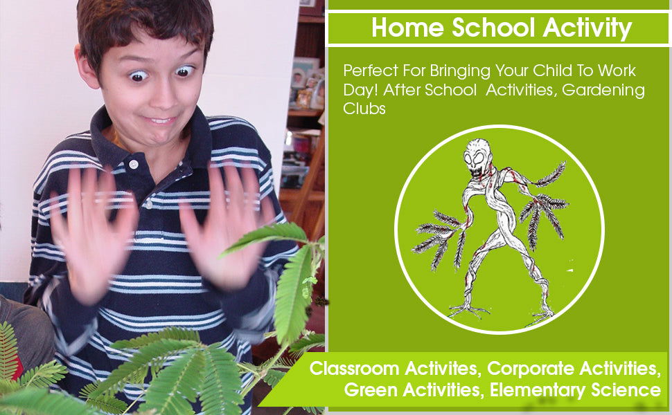 Zombie Plant Classroom or Homeschool Science Fun Planting Party kit - for 30 Students - Grow The House Plant That “Plays Dead When You Touch it! Includes The Zombie Plant Book. TickleMe Plant Company, Inc