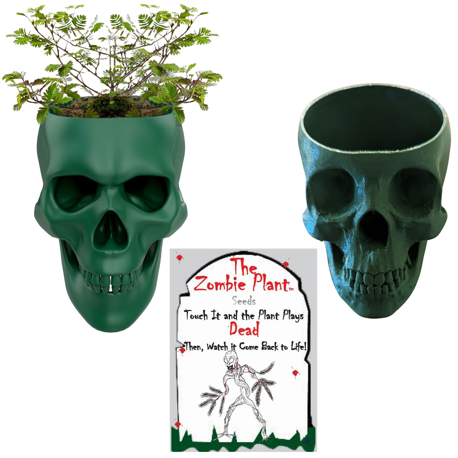 Zombie Plant Seed Pack with Two 3D Skull Flower Pots. Halloween Gothic Planter for Zombie Plants, Succulents, and More. Grow The Zombie Plant and Watch it Play Dead When Touched! TickleMe Plant Company, Inc