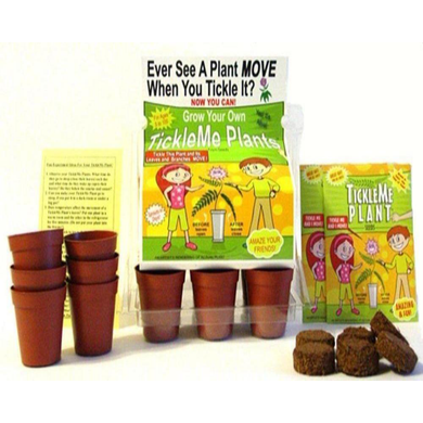 TickleMe Plant Greenhouse garden kit with science activity card!