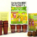 TickleMe Plant Greenhouse garden kit with science activity card! - This fun grow kit includes everything you need to start growing TickleMe Plants at home.