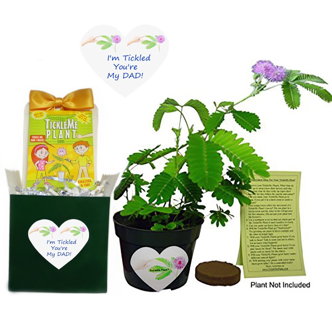 Birthday Gift or Father's Day Gift For Dad -TickleMe Plant Box Set - For the Dad that has everything