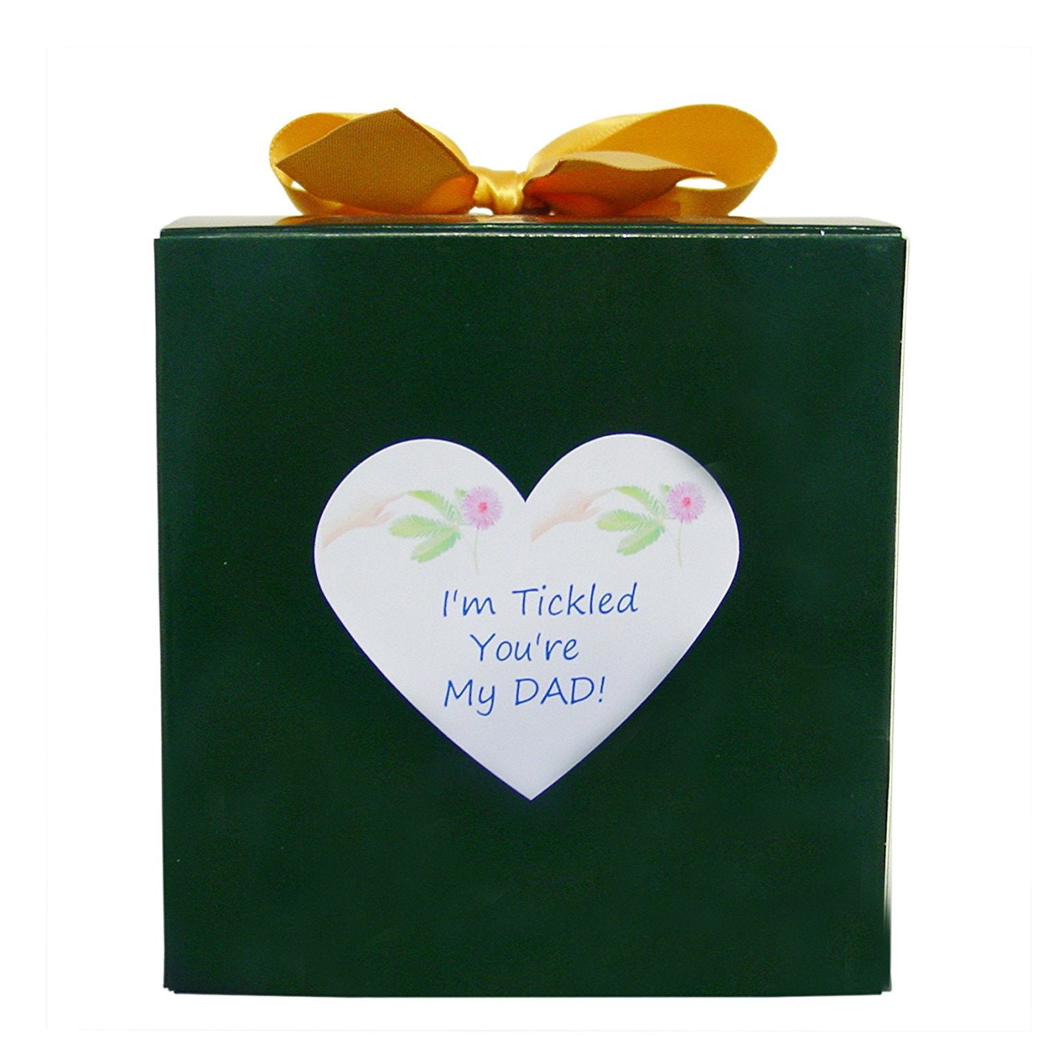 Birthday Gift or Father's Day Gift For Dad -TickleMe Plant Box Set - TickleMe Plant Company, Inc