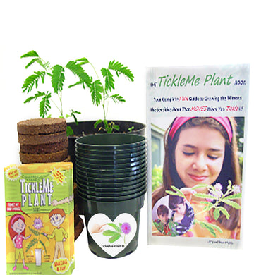 TickleMe Plant Classroom Kit for 15