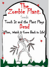 Wholesale - Zombie Plant Seed Packets -  Clip Strip of 12 Your Customers Can Grow The Zombie Plant and Watch it (Play Dead) When They Touch it!